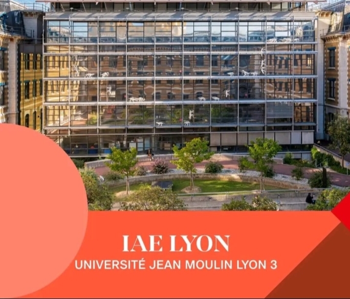 5 Bourses D’excellence Master 2 IEIS | IAE Lyon 2026-2027